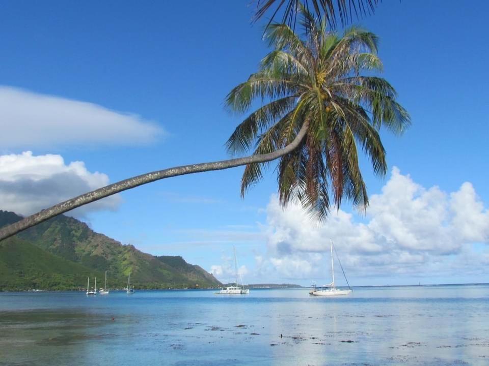 Beach De Reve De Moorea Hauru 外观 照片