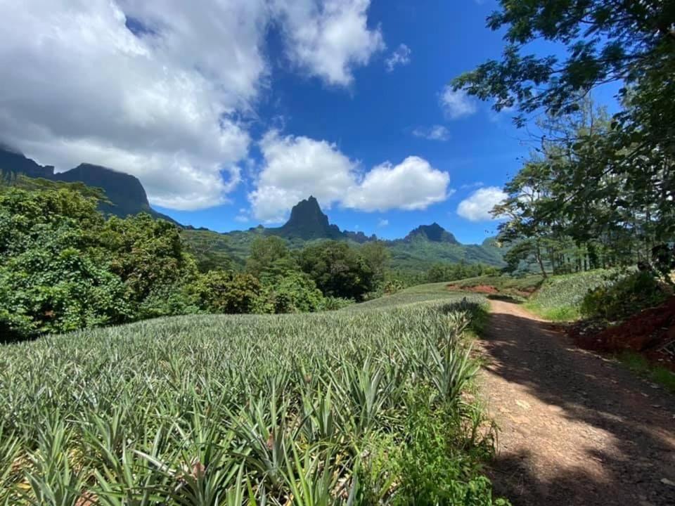 Beach De Reve De Moorea Hauru 外观 照片